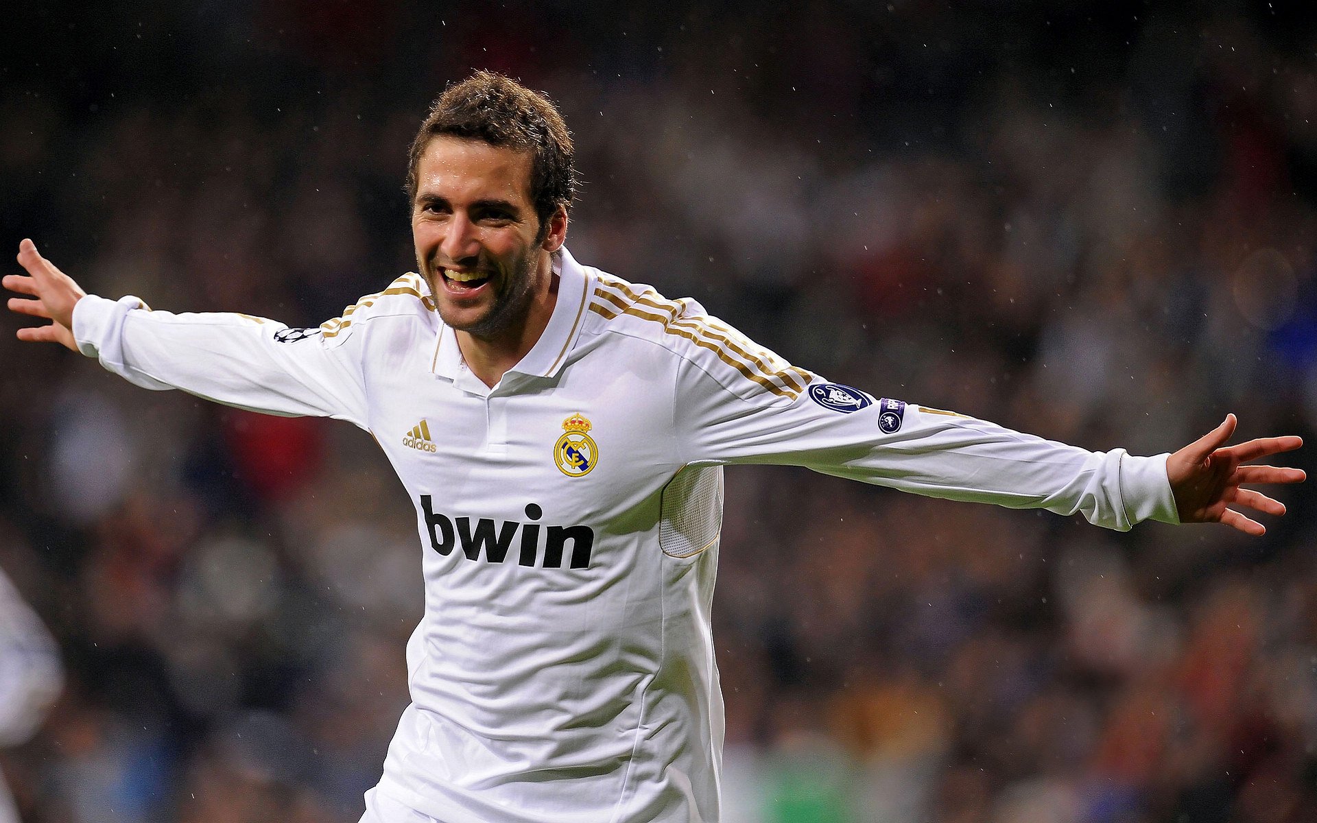 “罕见奇观：场上场下令人难以置信的趣味”，场上什么意思