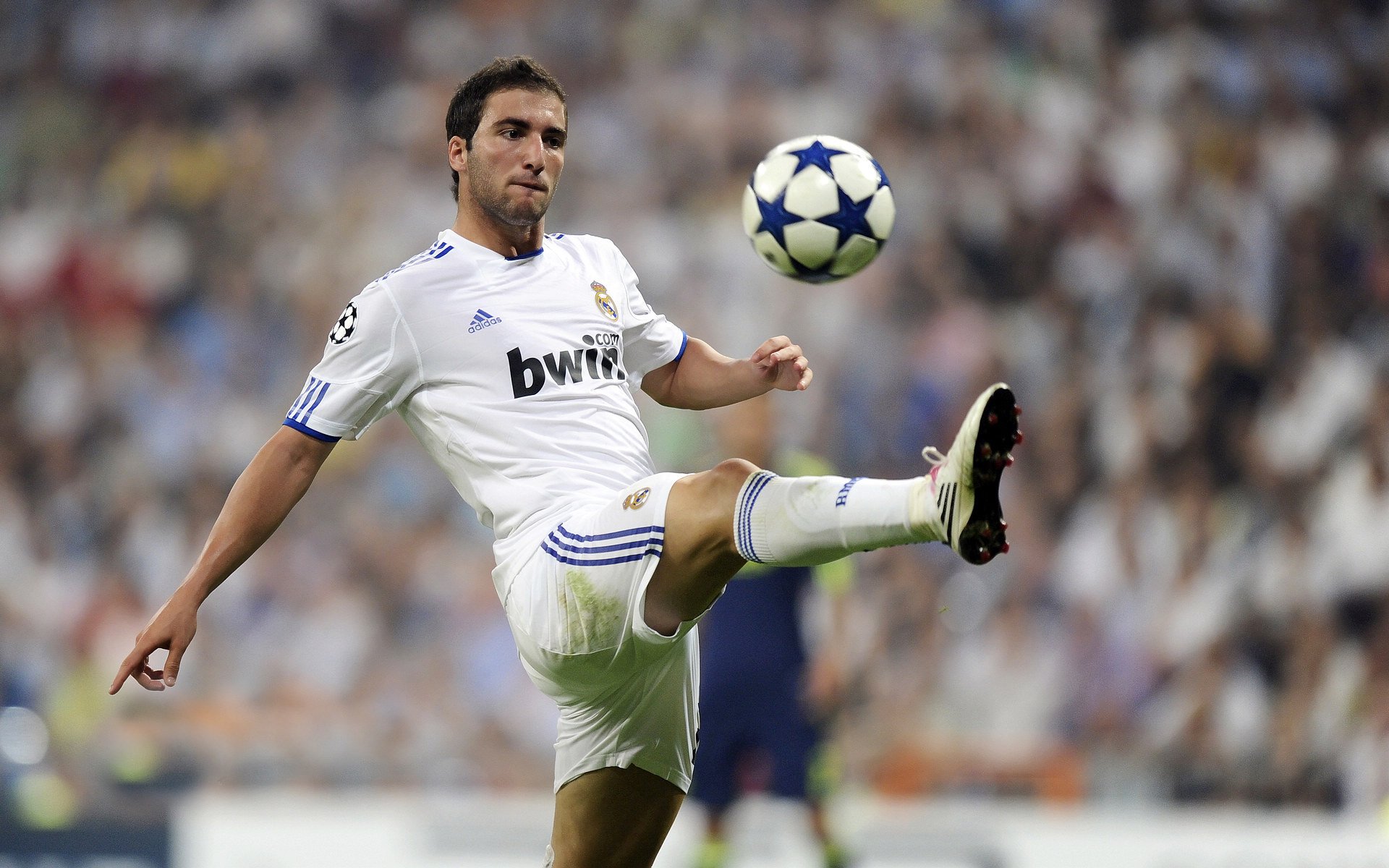 巴西主帅佩雷拉：球队状态回升，目标争夺世界杯冠军，巴西队佩德罗